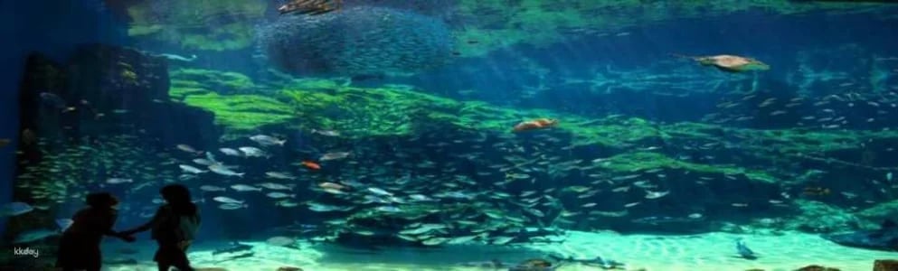 Kujukushima Aquarium Umi Kirara Admission Ticket | Japan