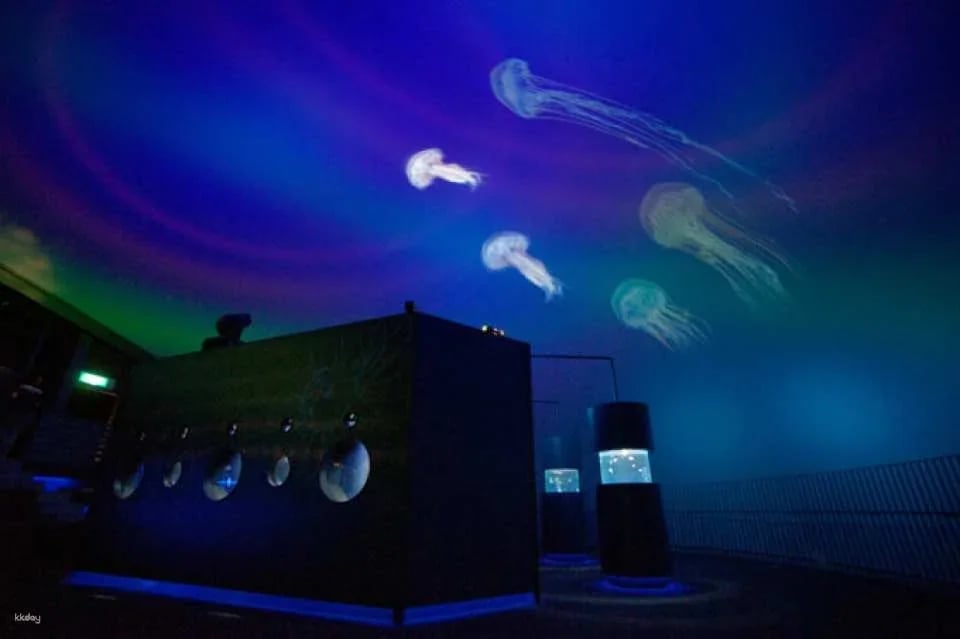 Kujukushima Aquarium Umi Kirara Admission Ticket | Japan