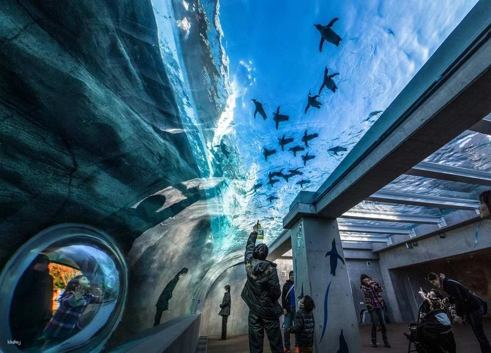 Kujukushima Zoological & Botanical Garden Mori Kirara Tickets | Nagasaki