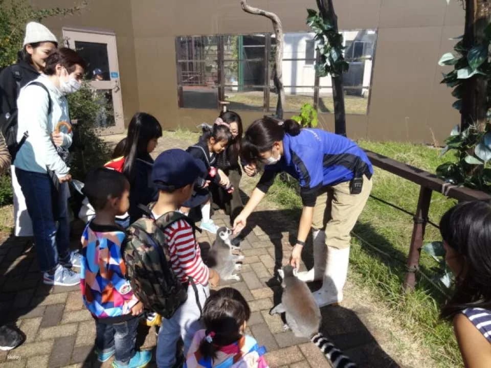 Kujukushima Zoological & Botanical Garden Mori Kirara Tickets | Nagasaki