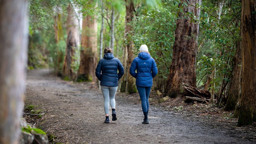 Two people walking on a forest trail during the kunanyi Mt Wellington hop on hop off tour.