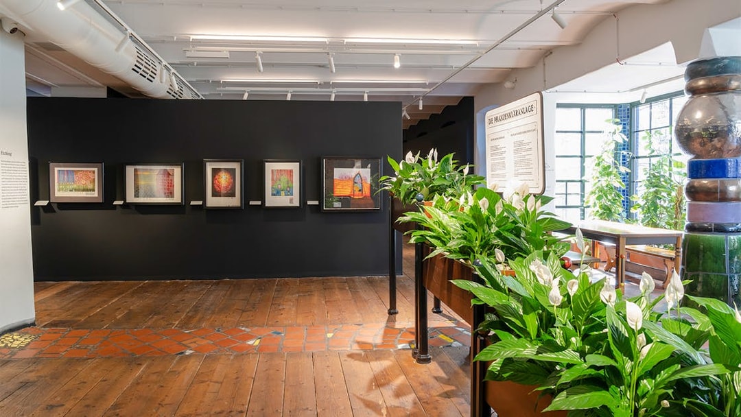 KUNST HAUS WIEN exhibit with framed artworks and lush greenery in Hundertwasser Museum.