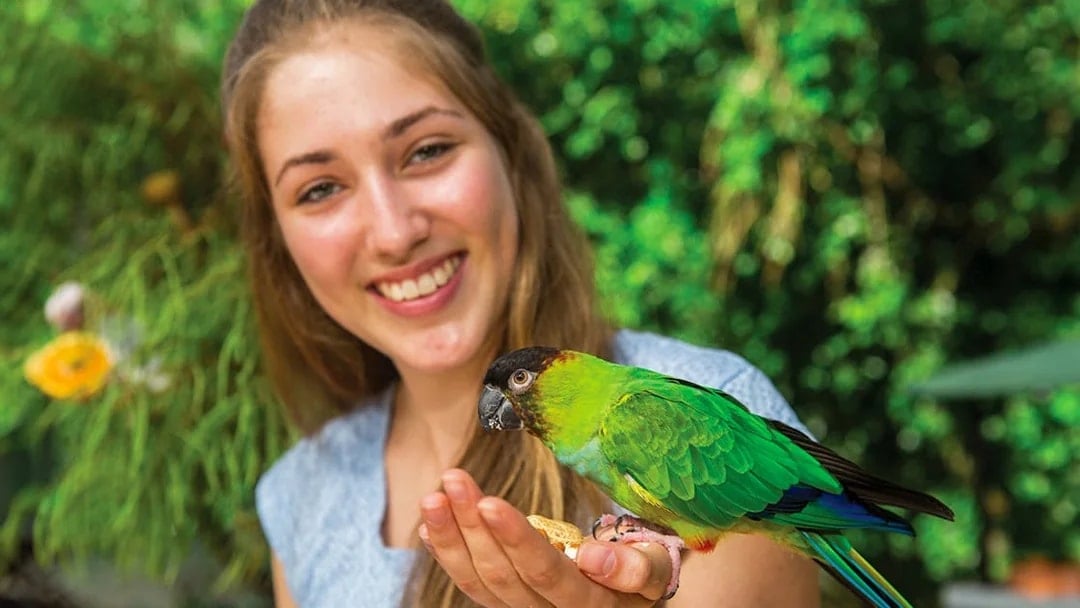 Woman holding a colorful parrot at Birdworld Kuranda.