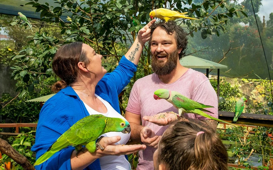 Tickets to Kuranda Koala Gardens, Birdworld Kuranda, & Australian Butterfly Sanctuary Image 6