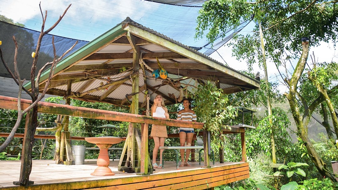 Visitors at a wooden pavilion in Kuranda Koala Gardens surrounded by lush greenery.
