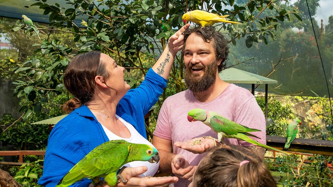 Visitors interacting with colorful parrots at Birdworld Kuranda.