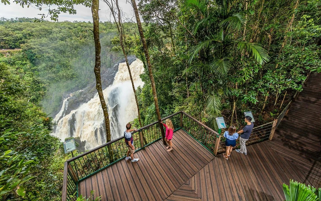 From Cairns: Scenic Train & Skyrail Self-Guided Kuranda Tour Image 6