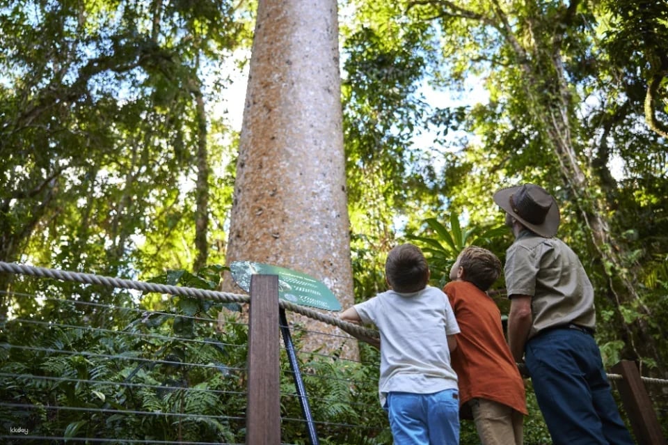 Kuranda Skyrail & Scenic Railway Day Package | Cairns