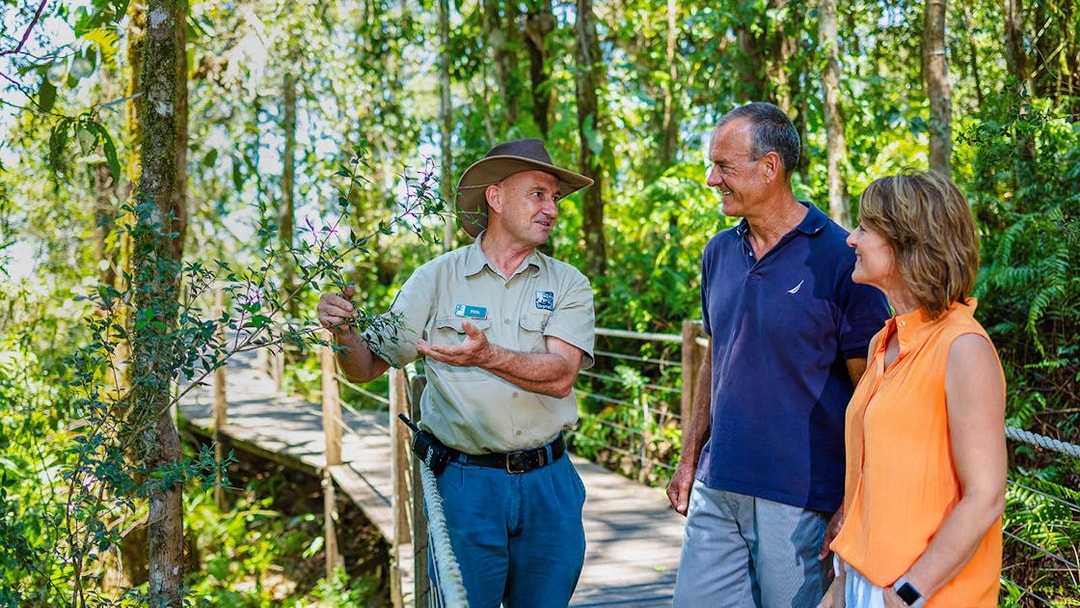 Guide explaining plants to tourists on a Kuranda rainforest boardwalk tour.