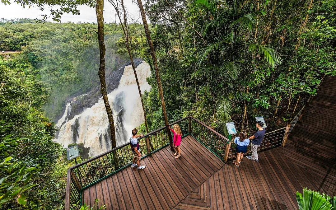 Kuranda Skyrail One-Way Tickets
 Image 6