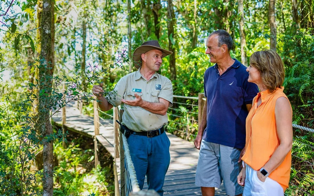 Kuranda Skyrail One-Way Tickets
 Image 7