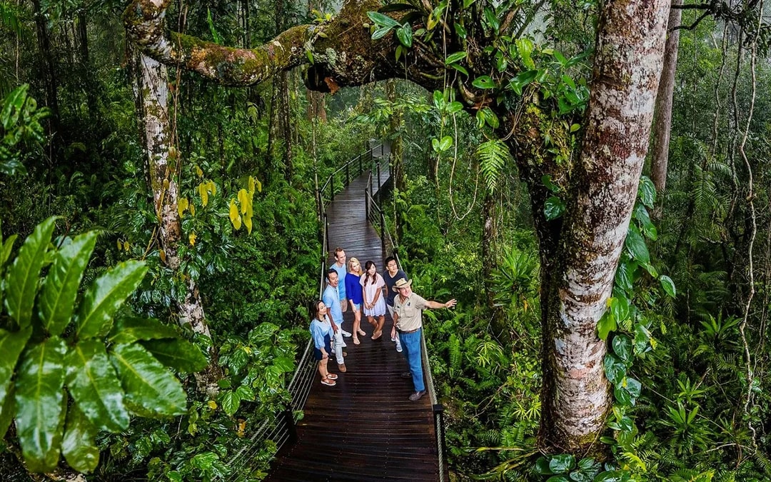Kuranda Skyrail One-Way Tickets
Image 8