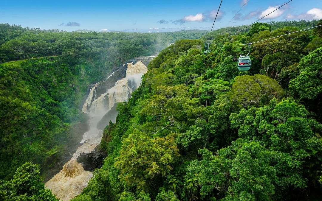 Kuranda Skyrail One-Way Tickets
 Image 4