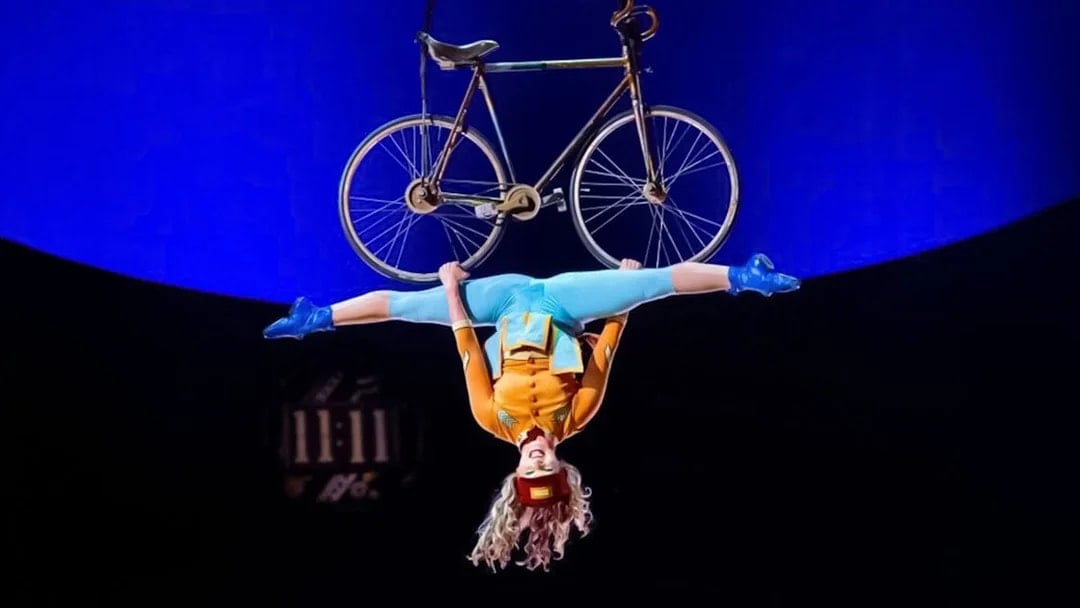 KURIOS – Cabinet of Curiosities, Gijon