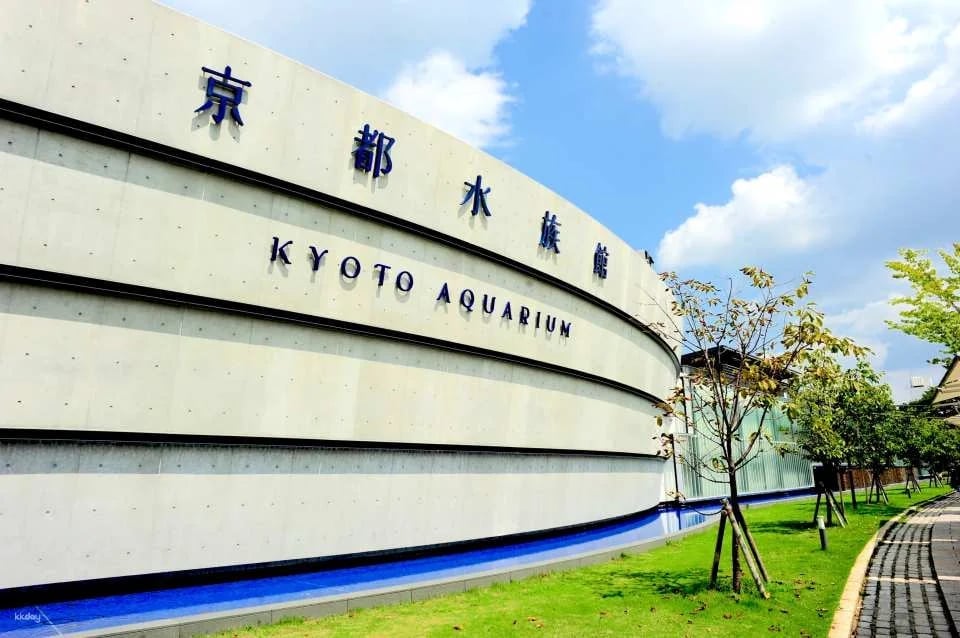 Kyoto Aquarium Admission Ticket | Japan