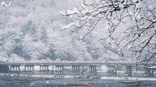 Kyoto Heritage Tour: Arashiyama, Fushimi Inari & Nara Park with Lunch Day Tours