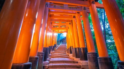 [Guaranteed group] Kyoto Arashiyama + Fushimi Inari Taisha + Nara Park 1-day tour