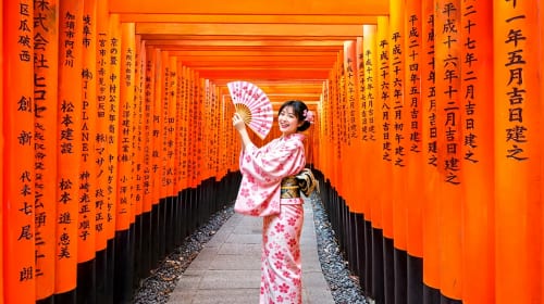 1-day tour to Kyoto, Arashiyama & Nara - bamboo forest path + Togetsukyō Bridge + Fushimi Inari + Nara Park Day Tours