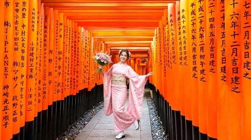 1-day tour to Kyoto, Arashiyama & Nara - bamboo forest path + Togetsukyō Bridge + Fushimi Inari + Nara Park Day Tours
