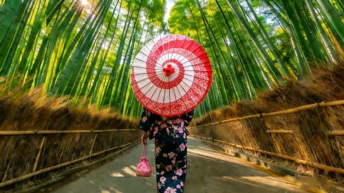 1-day tour to Kyoto, Arashiyama & Nara - bamboo forest path + Togetsukyō Bridge + Fushimi Inari + Nara Park Day Tours