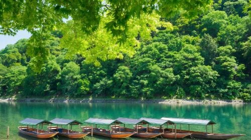 1-day tour to Kyoto, Arashiyama & Nara - bamboo forest path + Togetsukyō Bridge + Fushimi Inari + Nara Park Day Tours