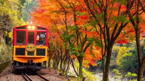 Kyoto Arashiyama + Meet Nara's Cute Deer + Stroll Through Fushimi Inari Day Tour, Sagano, Togetsukyo Bridge Day Tours