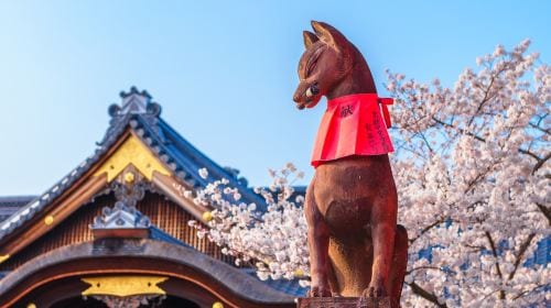 Kyoto Arashiyama + Meet Nara's Cute Deer + Stroll Through Fushimi Inari Day Tour, Sagano, Togetsukyo Bridge Day Tours