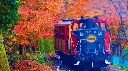 Kyoto Arashiyama + Meet Nara's Cute Deer + Stroll Through Fushimi Inari Day Tour, Sagano, Togetsukyo Bridge Day Tours