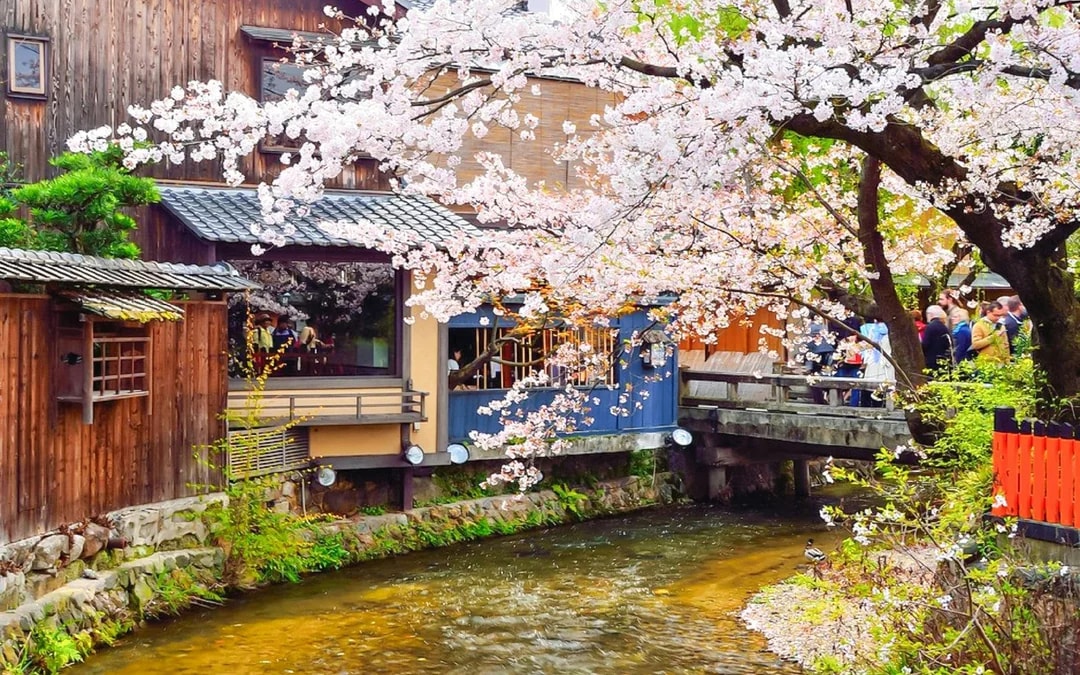 Kyoto: Gion After-Dark Walking Tour – Geisha Culture & Night Sightings with Local Guide Image 7