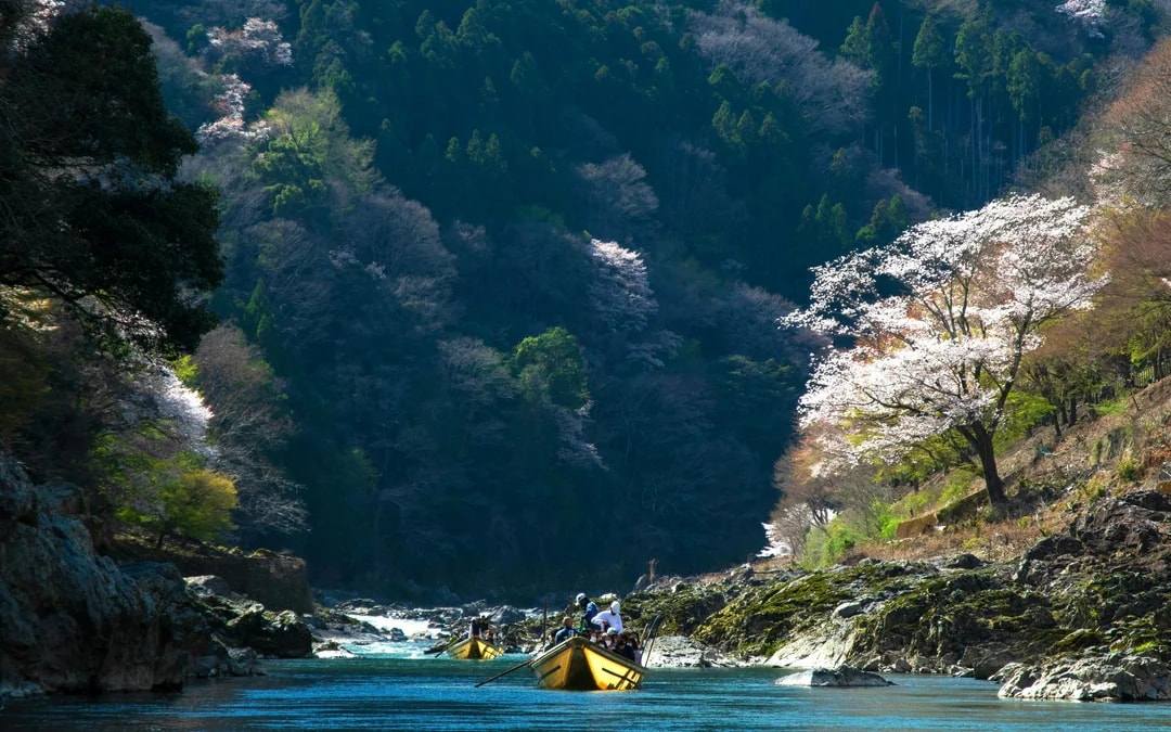 Kyoto Hozugawa River Boat Ticket Image 8