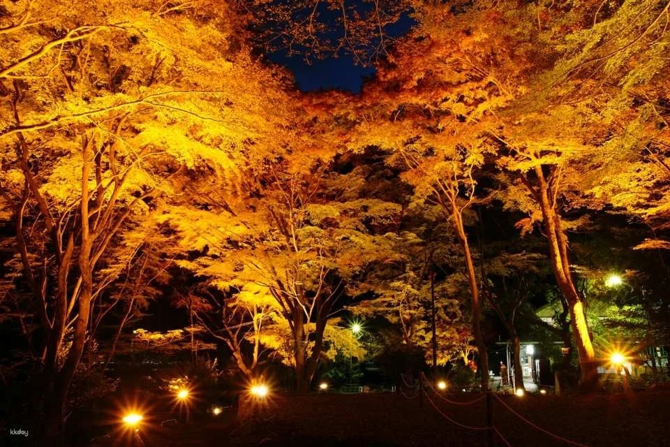 Kyoto, Japan|Eizan Cable Car・Ropeway|Round trip・One way ticket