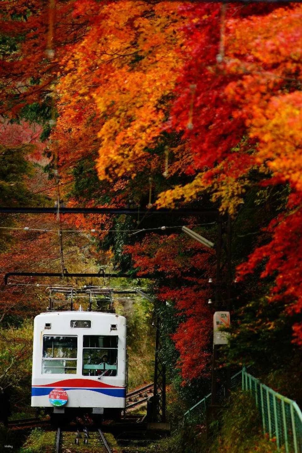 Kyoto, Japan｜Eizan Cable Car・Ropeway｜Round trip・One way ticket