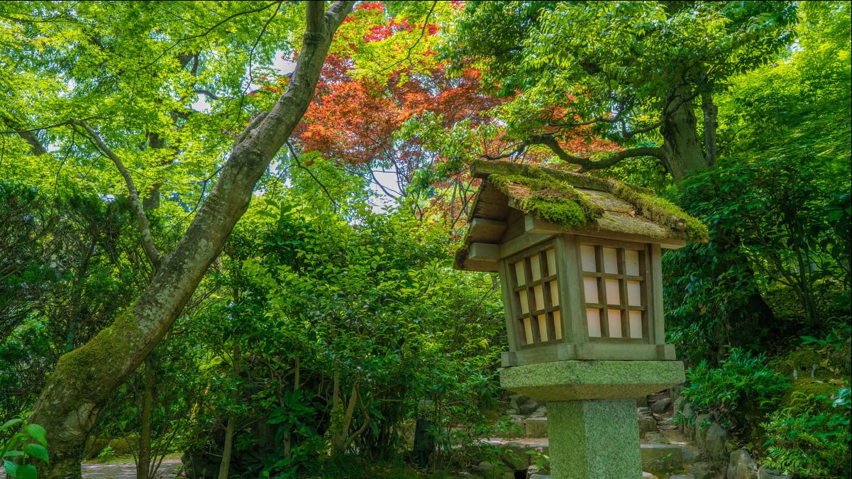 Kyoto, Nara, Fushimi Inari Shrine, Arashiyama Day Trip