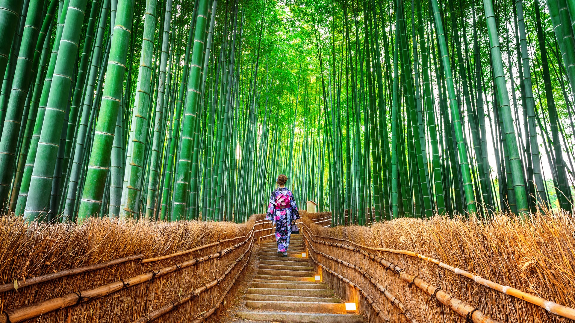 Kyoto, Nara, Fushimi Inari Shrine, Arashiyama Day Trip
