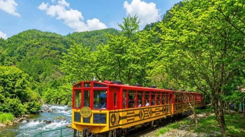 Kyoto and Nara day tour - Arashiyama, Nara Park, Fushimi Inari's thousand torii gates and Sagano scenic train Day Tours