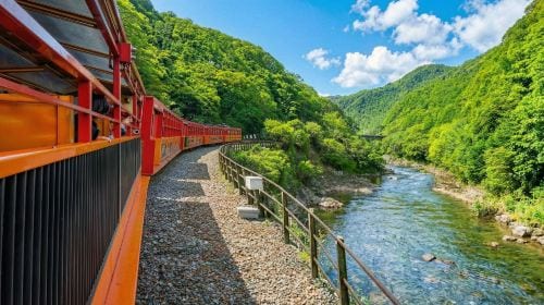 Kyoto and Nara day tour - Arashiyama, Nara Park, Fushimi Inari's thousand torii gates and Sagano scenic train Day Tours