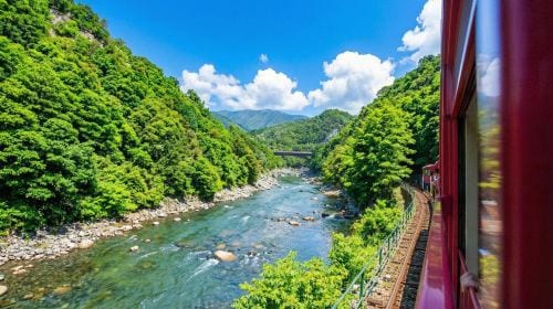 Kyoto and Nara day tour - Arashiyama, Nara Park, Fushimi Inari's thousand torii gates and Sagano scenic train Day Tours