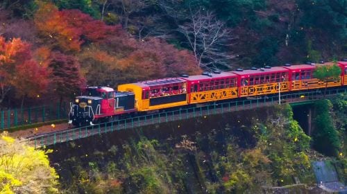 Kyoto and Nara day tour - Arashiyama, Nara Park, Fushimi Inari's thousand torii gates and Sagano scenic train Day Tours