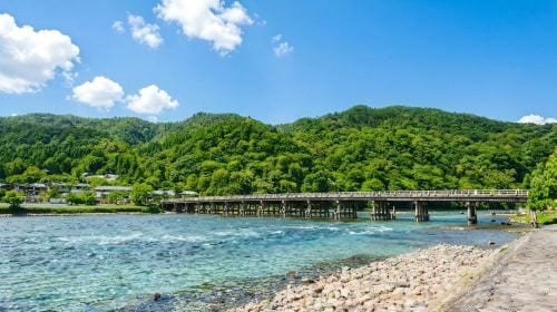 Kyoto Nara 1-day tour | Nara Park + Arashiyama + Fushimi Inari | Departure from Osaka/Kyoto Day Tours