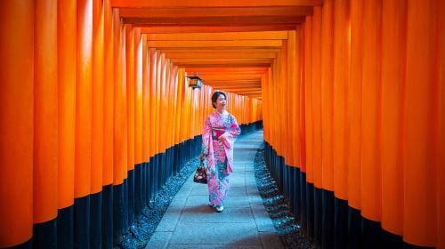 Kyoto Nara 1-day tour | Nara Park + Arashiyama + Fushimi Inari | Departure from Osaka/Kyoto Day Tours