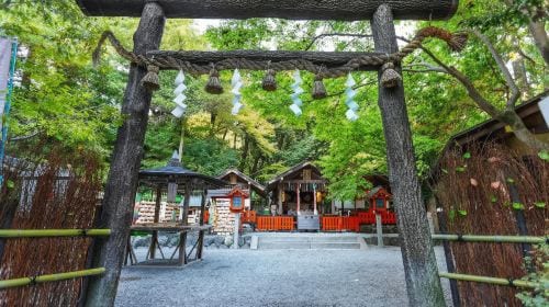 Kyoto Nara 1-day tour | Nara Park + Arashiyama + Fushimi Inari | Departure from Osaka/Kyoto Day Tours