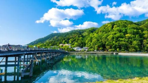 Kyoto Nara 1-day tour | Nara Park + Arashiyama + Fushimi Inari | Departure from Osaka/Kyoto Day Tours