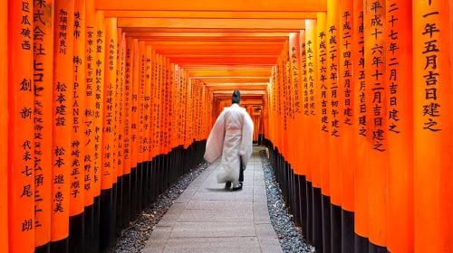 Kyoto Nara 1-day tour | Nara Park + Arashiyama + Fushimi Inari | Departure from Osaka/Kyoto Day Tours