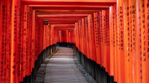 Kyoto Nara 1-day tour | Nara Park + Arashiyama + Fushimi Inari | Departure from Osaka/Kyoto Day Tours