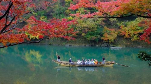 Kyoto Arashiyama + Nara Park + Fushimi Inari Taisha Photography Tour (Departing from Osaka/Kyoto) Day Tours experience image 3
