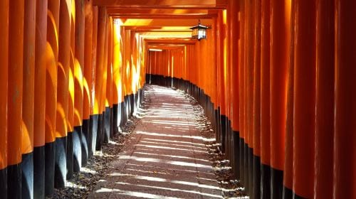 Kyoto Arashiyama + Nara Park + Fushimi Inari Taisha Photography Tour (Departing from Osaka/Kyoto) Day Tours