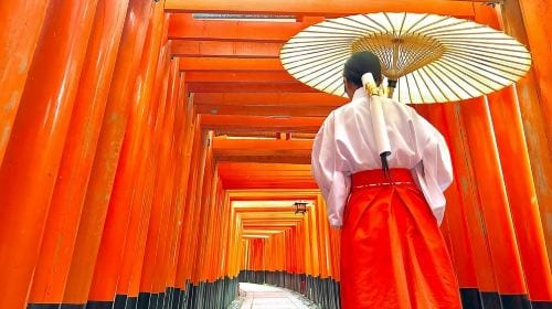 [Osaka Departure] Kyoto & Nara One-Day Tour | Kiyomizu-dera Temple + Fushimi Inari Shrine + Nara Park (13-person small group · English service · pure play, no-shopping tour) Day Tours