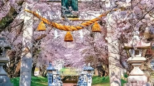 [Osaka Departure] Kyoto & Nara One-Day Tour | Kiyomizu-dera Temple + Fushimi Inari Shrine + Nara Park (13-person small group · English service · pure play, no-shopping tour) Day Tours