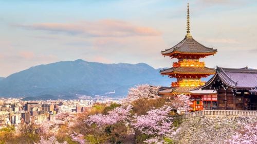 [Osaka Departure] Kyoto & Nara One-Day Tour | Kiyomizu-dera Temple + Fushimi Inari Shrine + Nara Park (13-person small group · English service · pure play, no-shopping tour) Day Tours