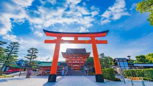 [Osaka Departure] Kyoto & Nara One-Day Tour | Kiyomizu-dera Temple + Fushimi Inari Shrine + Nara Park (13-person small group · English service · pure play, no-shopping tour) Day Tours